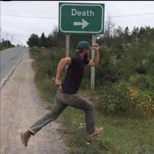 Meet your Posher, Elayna